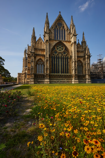 Lincoln Cathedral flowers The image shows a landscape photograph of Lincoln Cathedral in England, United Kingdom. The focus is on the flower-filled grounds in front of the cathedral, with vibrant yellow blossoms covering the area. The architecture of Lincoln Cathedral, a renowned church and landmark in Lincoln, is prominent, featuring tall Gothic spires and ornate stonework. The scene is captured during a sunny morning in late summer, highlighting the colours of the flowers and the detailed facade of this historic cathedral.
